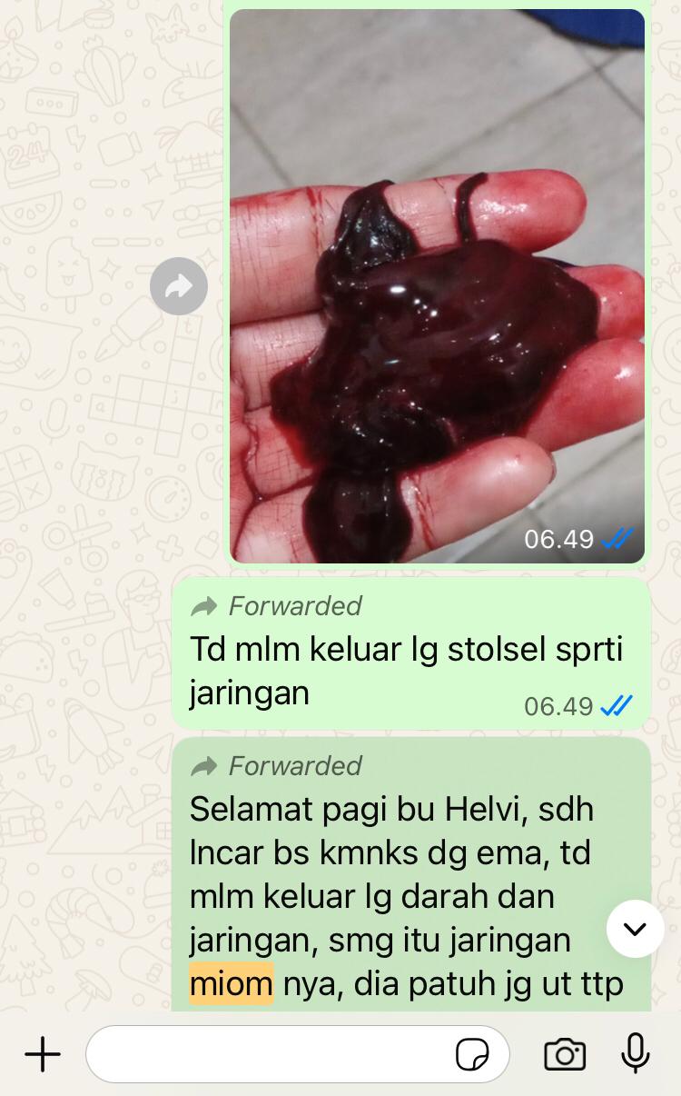 gambar testi pipihouse 1.jpeg